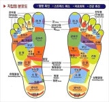 발바닥지압점 위치 알고 누르기 모든 신체를 축소해놓은 곳은 발이다 라는 말이 있습니다. 행사같은 때엔 다른때와 달릴 장거리를 왔다갔다... 