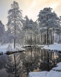 Snow의 최고 인기 이미지 59개 | Winter wonderland, 자연 및 Paisajes Snow