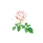 색연필 1 (colored pencil)에 있는 핀