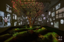 포도뮤지엄 《어쩌면 아름다운 날들》 - 수무綏撫