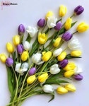 Gardening에 있는 Bluenene님의 핀 | 꽃꽂이, 꽃 사진, 꽃