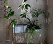 balance coffee roasters에 있는 cabinet baleine님의 핀 - 2021
