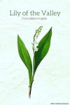 Herbs에 관한 265개의 최상의 Pinterest 이미지 | 약초, 자연 의학 및 식물 Herbs