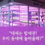 올래❓. . 여러분 혹시 팜세권 이라고 들어보셨나요🤔. 아마도 역세권은 많이 들어보셨을텐데요‼️. 팜세권이란, 도시 근교 농장... 