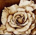 Pin by Tonya Steber on 리엘 작품집 in 2022 | Wood burning art, Wood art projects, Wood burning tips