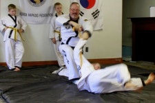 Pin page Pin på Hapkido (합기도)