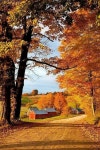 love :)에 관한 77개의 최상의 Pinterest 이미지 | Paisajes, 배경화면 및 숲 love :)