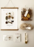 Pin by 보배 조 on herbarium | Pressed flower crafts, Crafts, Flower crafts