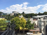 2014 가을날 커피숍 테라스에서
