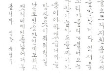 t115A w2 신혜정 01