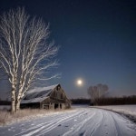 Farm Scenes에 있는 핀