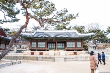 창경궁,Changgyeonggung Palace,홍화문,Hongwhamun, 명정전,Myeongjeongjeon,숭문당,Sungmundang,문정전,Munjeongjeon #창경궁 에 대한 기억은... 