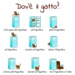 Italiano에 관한 171개의 최상의 Pinterest 이미지 | 이탈리아어, 어휘 및 교육 Italiano