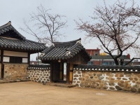 사진1에 있는 inok님의 핀 - 2025 | 수채화