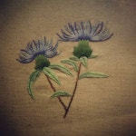 #프랑스자수 #자수 #손바느질 #embroidery #수틀액자 #강릉 #야생화자수