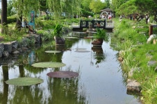 세미원 20160709에 있는 Kyounghwa Kim님의 핀