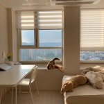 큰 창으로 보이는 저녁노을이 예쁜 치치&모모 하우스 | 오늘의집 인테리어 고수들의 집꾸미기 | 집 꾸미기, 집 스타일, 집 내부