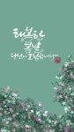 봄날 캘리그라피
