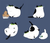 animal에 있는 핀