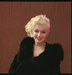 Milton Greene | 여배우, 배우