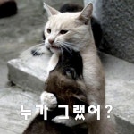 앞산보단 뒷산