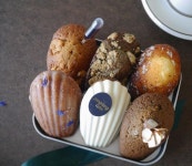 베이킹스튜디오 스란（@bakingstudio_sran）• Instagram 相片與影片 | Cafe food, Madeleine recipe, Food