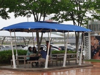 그늘막에 있는 정익 손님의 핀