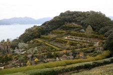 [거제 / 외도 보타니아] 이국적인 느낌의,,, 외도 보타니아 2012 Explore the Exotic Beauty of Botania, Geoje Island