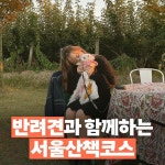 – #강아지 산책에 필요한 #가을 #산책… 가을산책,강아지,가을,산책템,쿠팡,강아지놀이터,서울강아지놀이터,산책용품,가을가볼만한곳... 