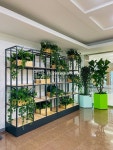 플라웍스앤코 flaworksnco
