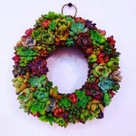 다육 리스 Pin by yebin on 다육아트 | Wreaths, Halloween wreath, Decor
