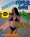 🔱카카오솔루션🔱마진거래솔루션, 재테크솔루션, 차트솔루션, 그래프솔루션, 각종 솔루션 - 2022 | 차트