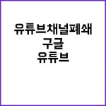 유튜브 채널 폐쇄 구글코리아 권한으로 밝혀졌다! | 대구진