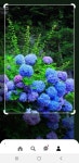 Pin page Pin by 세나 현 on 꽃 | Aquarium