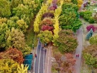 호수공원 | My works, It works