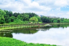 “입장료·주차비 전부 무료”… 산책길부터 야경까지 완벽한 힐링 명소