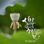 켈리라피에 있는 Lee gye baek/南堂 이계백 general님의 핀 - 2020