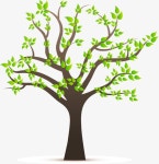 만화 나무, 나무, 나뭇잎, 그린 PNG 및 벡터 에 대한 무료 다운로드 | Cartoon trees, Home decor, Decor