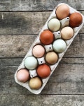 Chickens!에 관한 90개의 최상의 Pinterest 이미지 | 농장 동물, 시골 생활 및 닭장 Chickens!