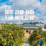 제주렌트카 계획은 미리해야 합니다. Pin on 제주 정보