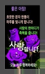 놀라운 자연에 있는 유복 양님의 핀 | 아침 인사 인용구, 좋은 아침 인사, 사랑 카드