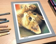 오일파스텔로 귀여운 고양이 그리기 /Drawing a cute cat with oil pastel Pin on 드로잉