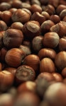 Hazelnut Syrup Hazelnut Syrup | 요리법