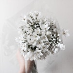 코아니 (호아니) 오랜만 . . . . . 블루밍스완 플라워 레슨 등록 가능합니다. janejoung310카카오톡 문의 주시면 상세한 답변...