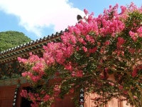 華嚴寺 // Hwaeomsa Temple // 화엄사