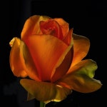 Orange에 관한 236개의 최상의 Pinterest 이미지 | Paisajes, 석양 및 아름다운 장소 Orange