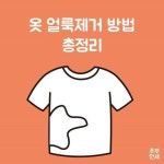 [살림노하우] 옷 얼룩제거 방법 총정리 : 다리미ㆍ볼펜ㆍ혈액ㆍ김치ㆍ간장ㆍ풍선껌ㆍ마요네즈ㆍ카레ㆍ크레파스ㆍ초콜릿ㆍ쥬스ㆍ케찹ㆍ사탕... 
