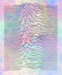 Joy Division | 디자인