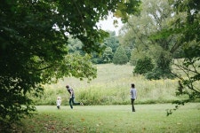 61.jpg 800×533픽셀 (With images) | Bleubird, Photography, Pics