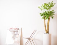 해피트리 Happy Tree | 아름다운